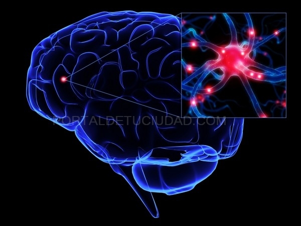 Daniel Bor: El sentido último de la vida reside en nuestras neuronas