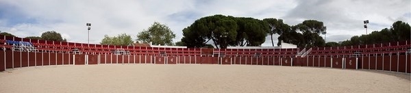 El Ayuntamiento retirará la subvención a la Escuela de Tauromaquia