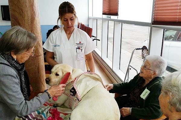 Incorporación de las terapias asistidas por animales