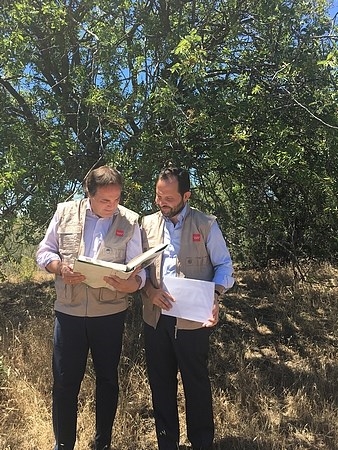 La Comunidad examinará 481 ejemplares para incluirlos en el Catálogo de Árboles Singulares