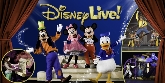 Disney Live! Mickey´s Music Festival