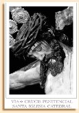 Ejercicio del Vía Crucis Penitencial de las Cofradías de Sevilla.