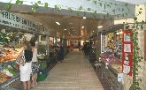 Mercado de Los Remedios