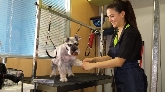 Clínica Veterinaria Villén