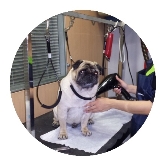 Clínica Veterinaria Villén