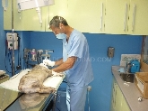 Clínica Veterinaria Villén