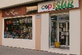 Copisur