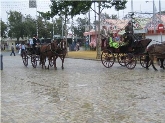Hoy, Feria pasada por agua