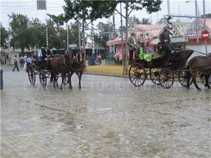 Hoy, Feria pasada por agua