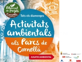 Activitats ambientals als Parcs