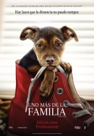 Ciclo Cine Aire Libre: «Uno más de la familia»