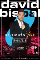 Stone & Music Festival: «David Bisbal»