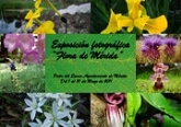 Exposición fotográfica "Flora de Mérida"