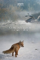 Cine Filmoteca: "Guadalquivir"