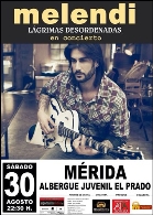 Melendi en concierto