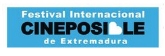Festival Cine Posible