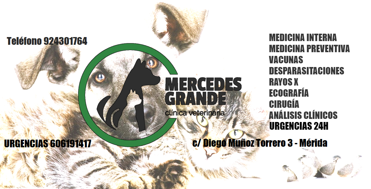 Clínica Veterinaria Mercedes Grande