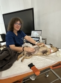 Clínica Veterinaria Mercedes Grande