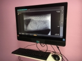 Clínica Veterinaria Mercedes Grande