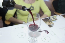 La Feria del Vino y la Aceituna de Almendralejo organiza actividades como catas y talleres