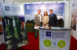 Ovino de pura raza merina en FECSUR