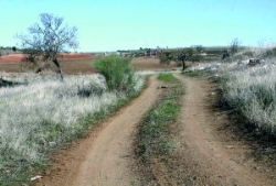 Se reinicia el procedimiento para elaborar el catálogo de caminos públicos del término de Mérida
