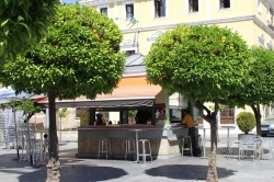 Adjudicada la explotación de los cuatro kioscos de la Plaza de España