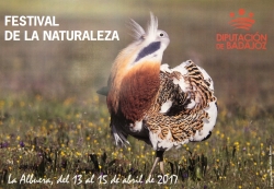 La Albuera celebra la Naturaleza con un festival donde las aves esteparias y las orquídeas son las protagonistas