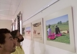 La exposición temporal "Toros y dehesa extremeña" de José Mª Ballester viaja a Bienvenida.