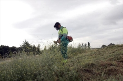 Los propietarios de solares deberán realizar el desbroce de parcelas antes de finalizar el mes de junio