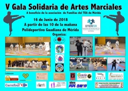 V Gala Solidaria de Artes Marciales a beneficio de Emeritea.