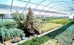 Adapta-Biofilia, nuevo proyecto promovido por la Diputación de Badajoz a través del Área de Desarrollo Sostenible.