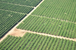 La Junta avanza en el proyecto de transformación en regadíos de Arroyo del Campo y Los Quintos.