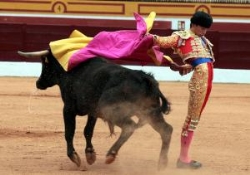 La Feria del Toro de Olivenza ofreció una clase práctica con alumnos de la Escuela Taurina de la Diputación