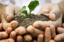 Extremadura y Portugal trabajarán para formar a 225 empresas en Economía Verde y Circular en el ámbito local rural.