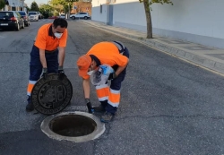 Mañana martes comienza la campaña de desratización de Primavera