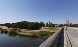 La JGL aprueba la mejora y rehabilitación de varios espacios verdes de las barriadas Cruzcampo, San Antonio y el entorno del Guadiana