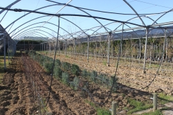 El Centro Ocupacional Proserpina recibe una subvención del SEPAD de 106.315 euros