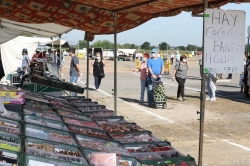 Incautadas 165 prendas de marcas falsificadas en el mercadillo de Mérida