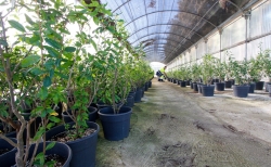 El Ayuntamiento recibe una subvención del SEXPE para el mantenimiento de la plantilla del C.E.E. La Encina