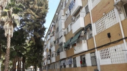 Los vecinos de La Antigua exigen una solución para la plaga de palomas