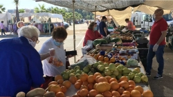 El mercadillo se traslada al aparcamiento del recinto ferial hasta el próximo 14 de septiembre