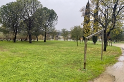 Mérida contará con una nueva zona de Calistenia de casi mil metros cuadrados tras adjudicar este espacio deportivo a la empresa Avaqvs Emerita con una