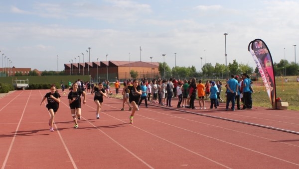 Más de 700 escolares participarán en la Olimpiada Escolar
