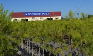 El vivero de la Diputación de Badajoz suministra plantas florales a más de 160 municipios de la provincia