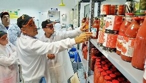Tomalia, una cooperativa que ha contratado para esta campaña 200.000 toneladas de tomate