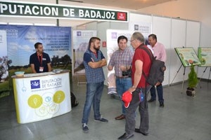 La subasta de la Diputación de Badajoz en el Salón Ovino se salda con un remate final de 6.140 euros