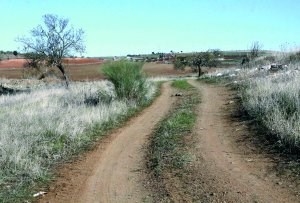 Se reinicia el procedimiento para elaborar el catálogo de caminos públicos del término de Mérida