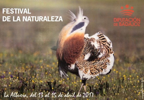 La Albuera celebra la Naturaleza con un festival donde las aves esteparias y las orquídeas son las protagonistas