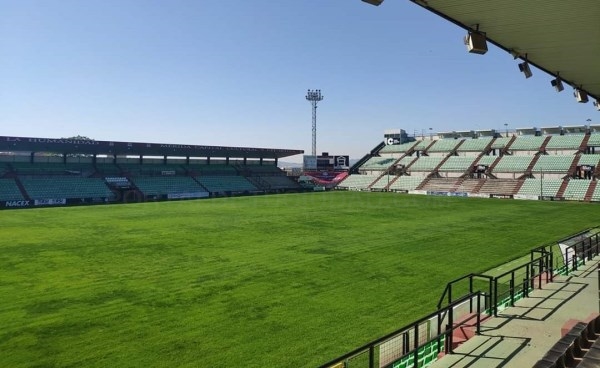 Sale a concurso el contrato de mantenimiento del césped del Estadio Romano